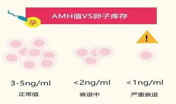 amh小于0.06可以做试管,试管前这样做成功率更高!