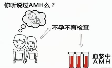 AMH值小于0.06做试管成功率高吗？