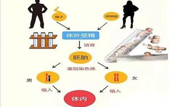 北医三院做三代试管需要满足什么条件?