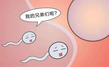 射精子进去多久才知道怀孕?