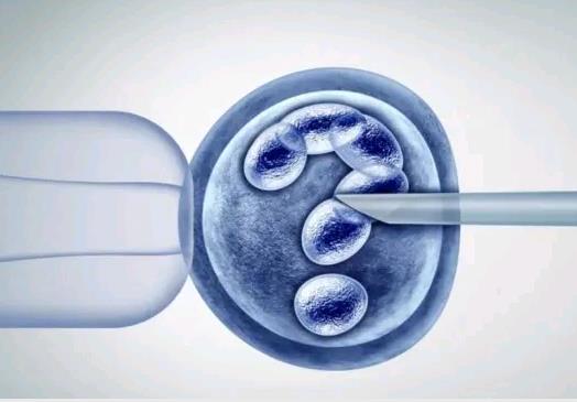 试管婴儿白带异常可以移植冷冻胚胎吗？看看生殖专家的解释